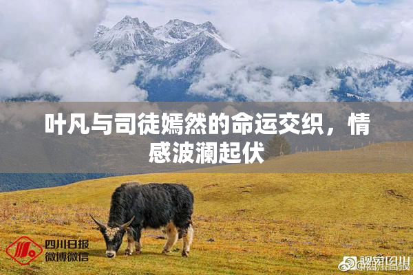 叶凡与司徒嫣然的命运交织，情感波澜起伏