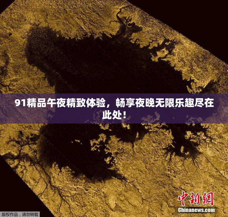 91精品午夜精致体验，畅享夜晚无限乐趣尽在此处！