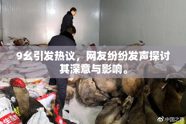 9幺引发热议，网友纷纷发声探讨其深意与影响。