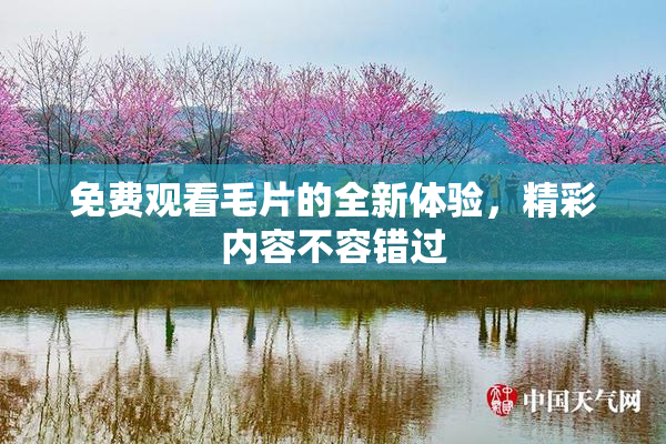 免费观看毛片的全新体验，精彩内容不容错过