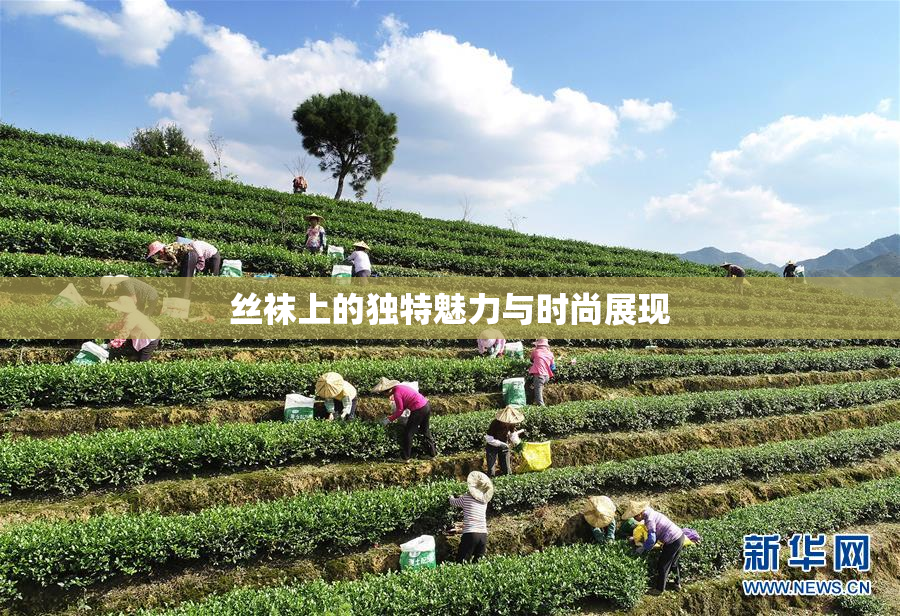丝袜上的独特魅力与时尚展现