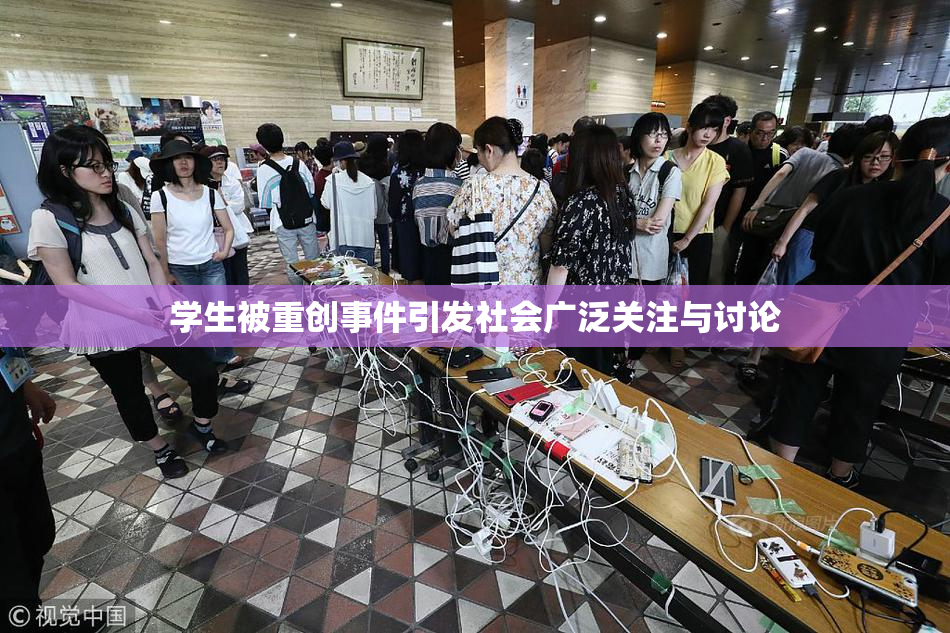 学生被重创事件引发社会广泛关注与讨论