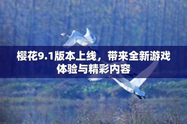 樱花9.1版本上线，带来全新游戏体验与精彩内容