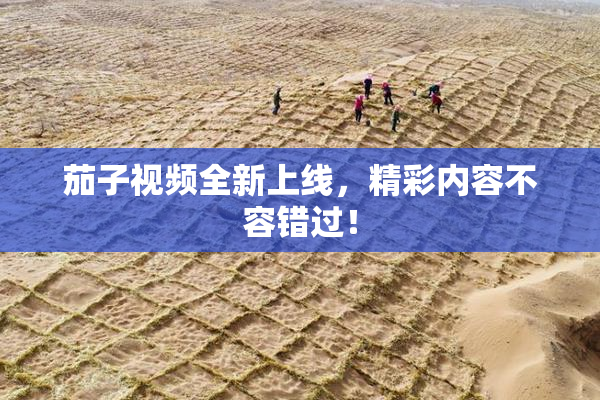 茄子视频全新上线，精彩内容不容错过！