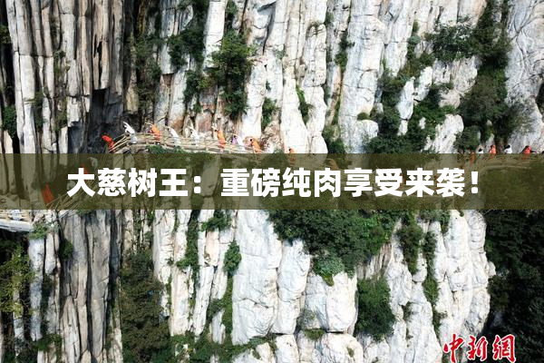 大慈树王：重磅纯肉享受来袭！