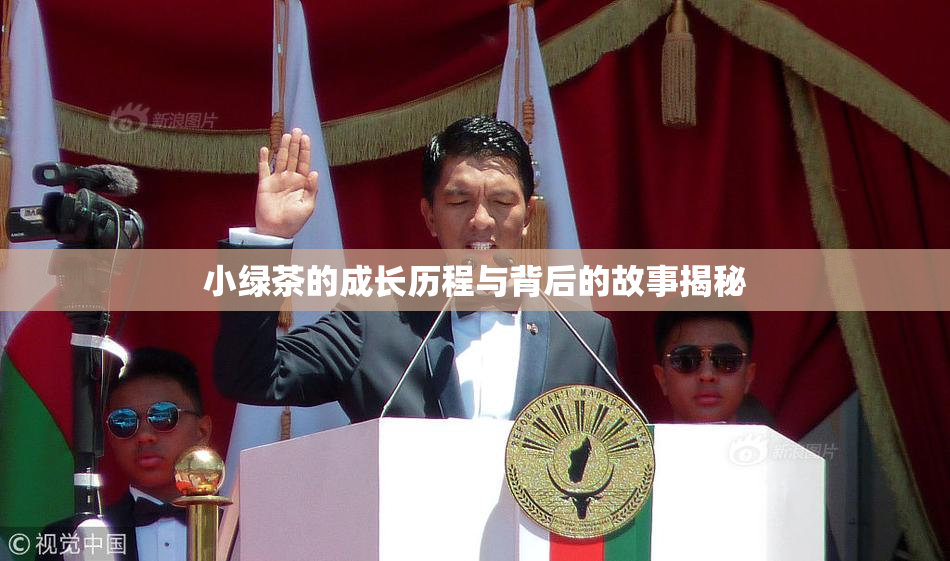 小绿茶的成长历程与背后的故事揭秘