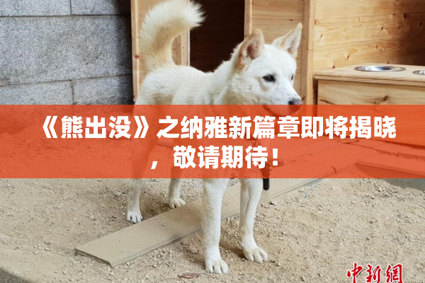 《熊出没》之纳雅新篇章即将揭晓，敬请期待！