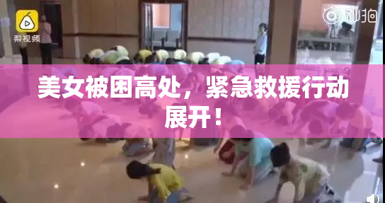 美女被困高处，紧急救援行动展开！
