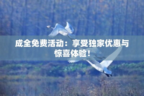 成全免费活动：享受独家优惠与惊喜体验！