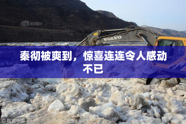 秦彻被爽到，惊喜连连令人感动不已