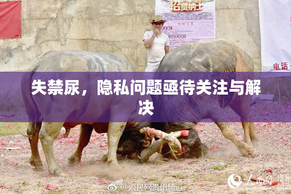失禁尿，隐私问题亟待关注与解决