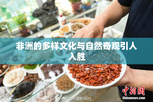 非洲的多样文化与自然奇观引人入胜
