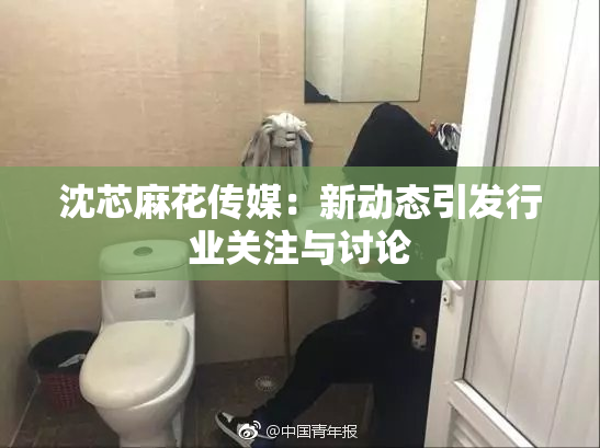 沈芯麻花传媒：新动态引发行业关注与讨论