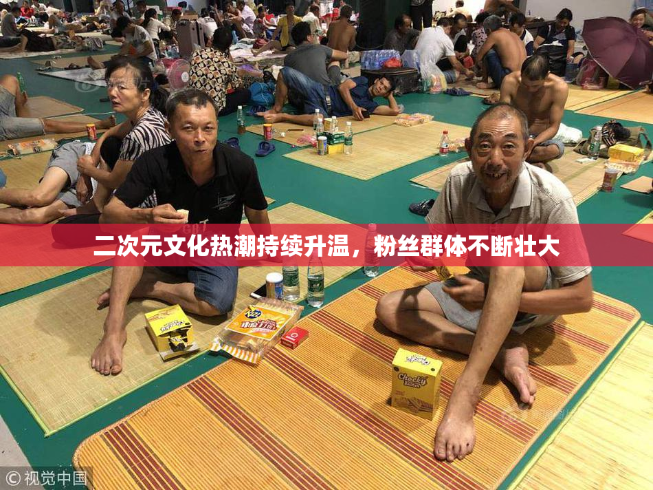 二次元文化热潮持续升温，粉丝群体不断壮大