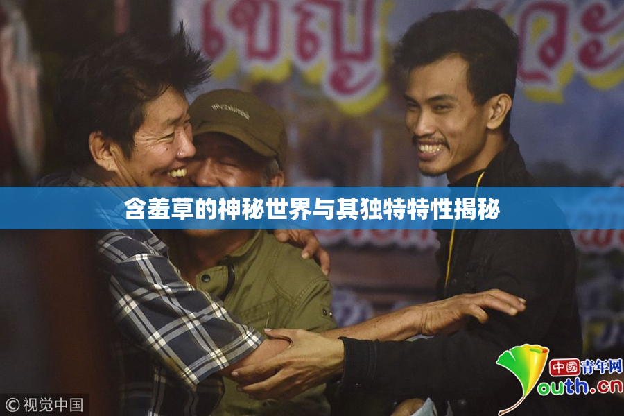 含羞草的神秘世界与其独特特性揭秘
