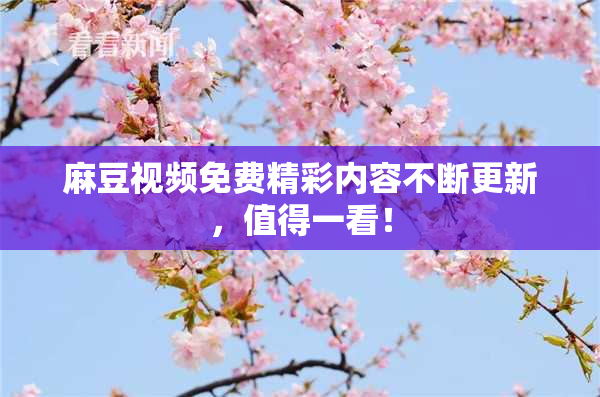 麻豆视频免费精彩内容不断更新，值得一看！