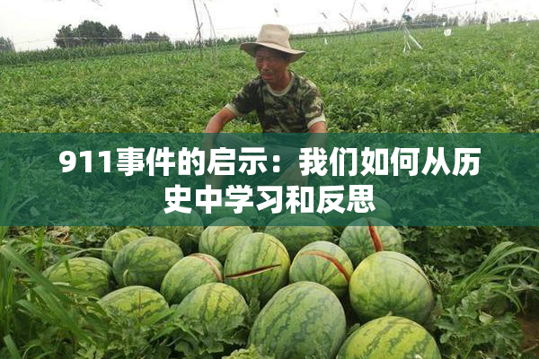 911事件的启示：我们如何从历史中学习和反思