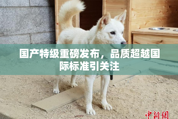 国产特级重磅发布，品质超越国际标准引关注