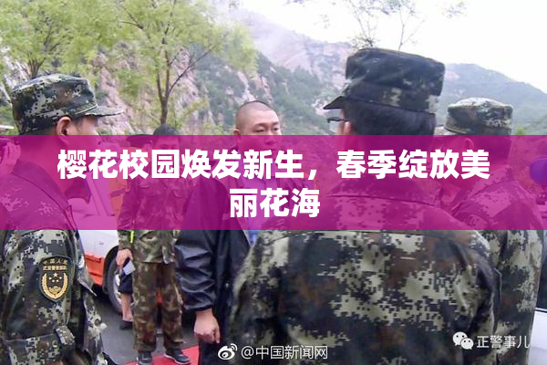 樱花校园焕发新生，春季绽放美丽花海