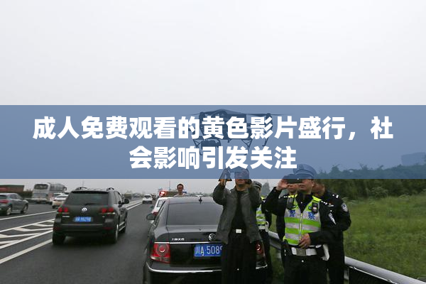 成人免费观看的黄色影片盛行，社会影响引发关注