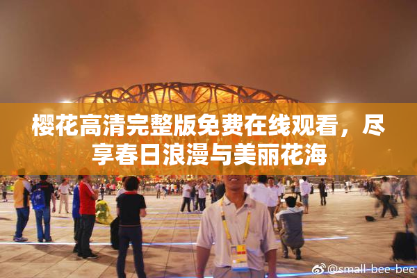 樱花高清完整版免费在线观看，尽享春日浪漫与美丽花海