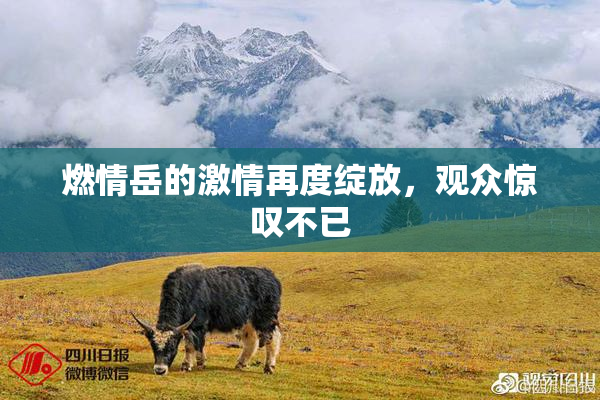 燃情岳的激情再度绽放，观众惊叹不已