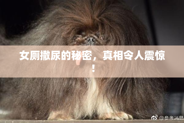 女厕撒尿的秘密，真相令人震惊！