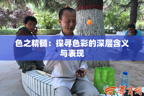 色之精髓：探寻色彩的深层含义与表现