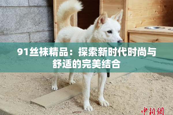 91丝袜精品：探索新时代时尚与舒适的完美结合