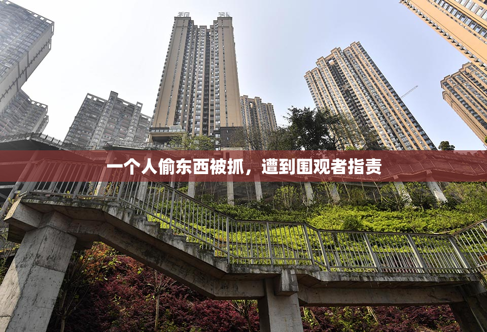 一个人偷东西被抓，遭到围观者指责