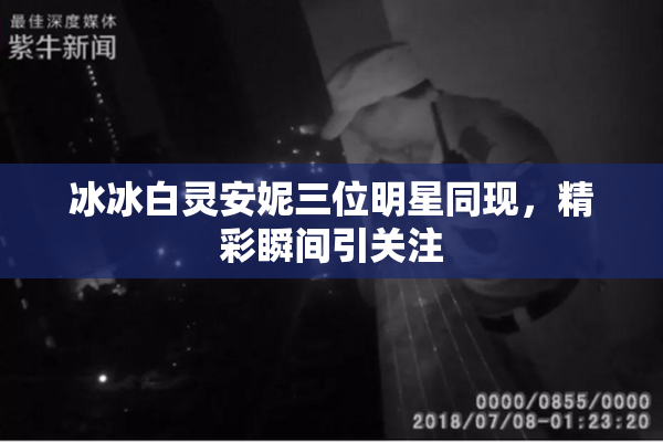 冰冰白灵安妮三位明星同现，精彩瞬间引关注