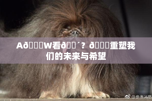 A🔞W看🔴？🔞重塑我们的未来与希望