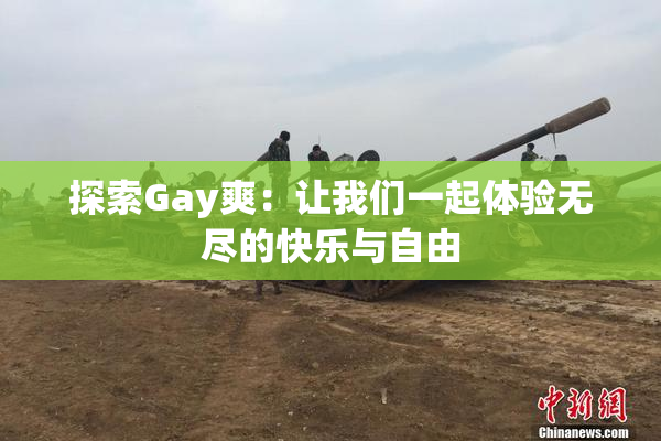 探索Gay爽：让我们一起体验无尽的快乐与自由