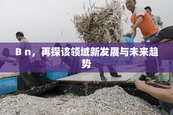 B n，再探该领域新发展与未来趋势