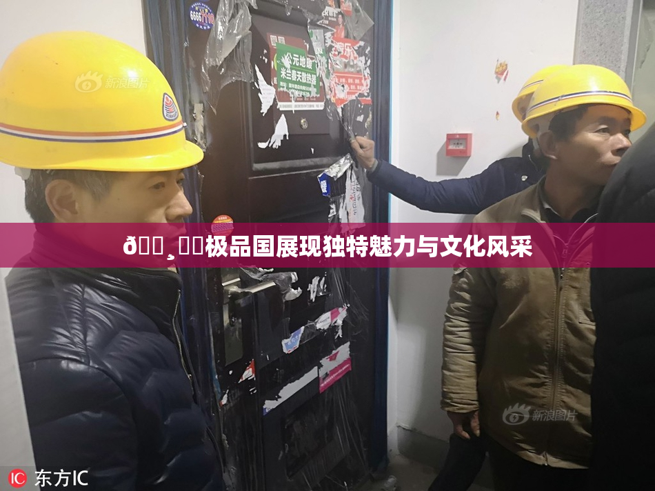 🌸‌✿极品国展现独特魅力与文化风采