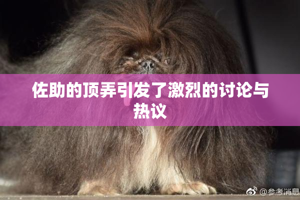 佐助的顶弄引发了激烈的讨论与热议