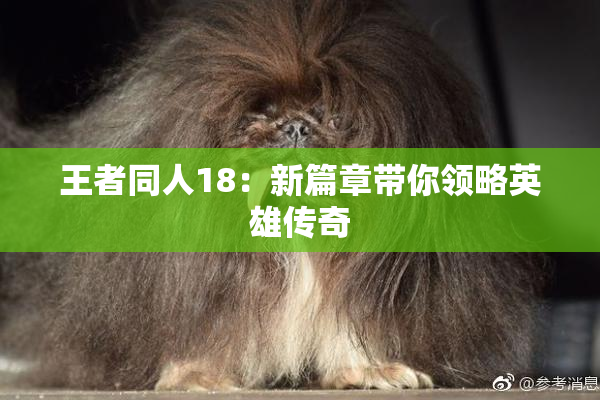王者同人18：新篇章带你领略英雄传奇