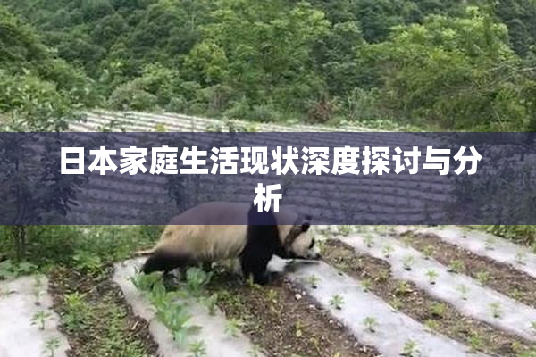 日本家庭生活现状深度探讨与分析