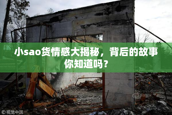 小sao货情感大揭秘，背后的故事你知道吗？