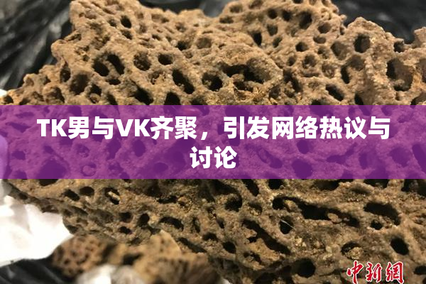 TK男与VK齐聚，引发网络热议与讨论