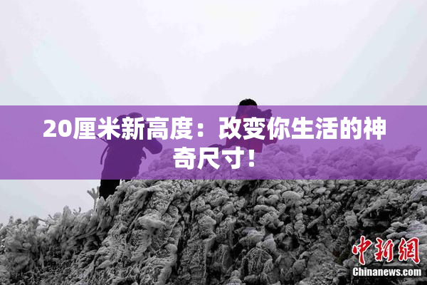 20厘米新高度：改变你生活的神奇尺寸！