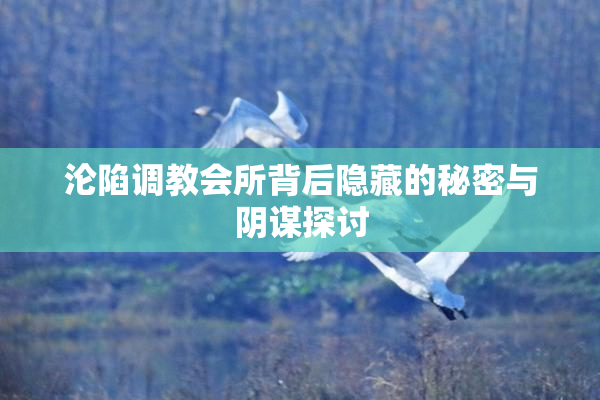 沦陷调教会所背后隐藏的秘密与阴谋探讨