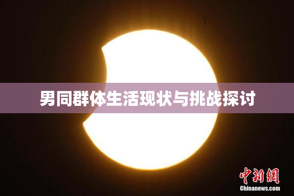 男同群体生活现状与挑战探讨
