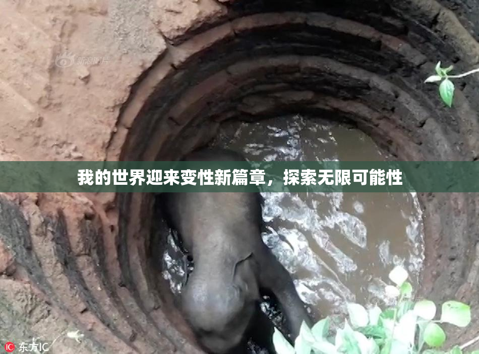 我的世界迎来变性新篇章，探索无限可能性