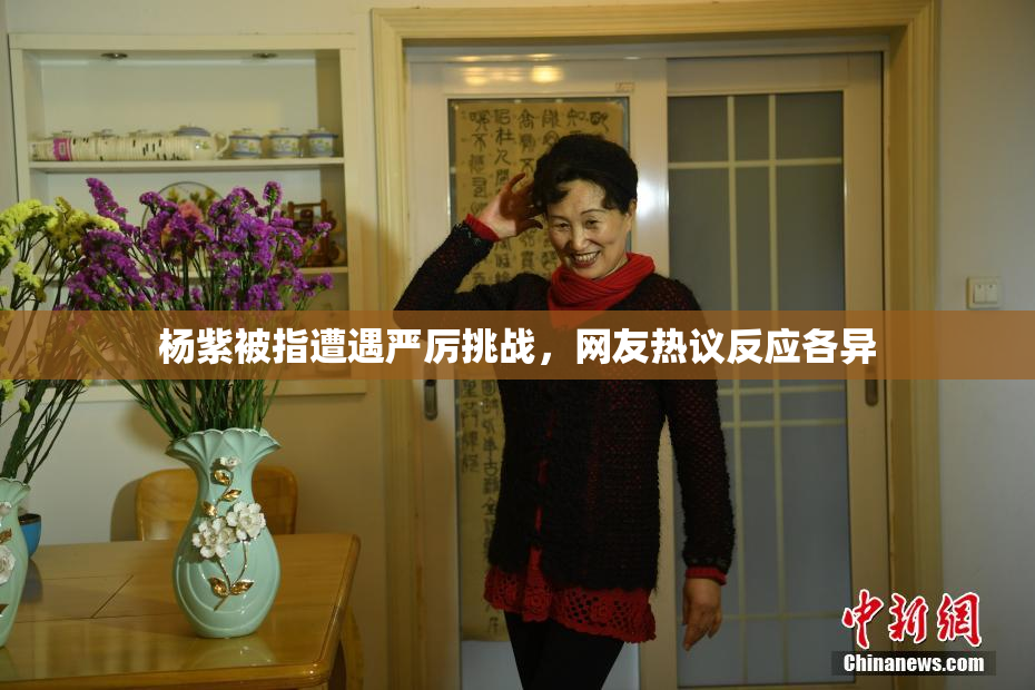 杨紫被指遭遇严厉挑战，网友热议反应各异