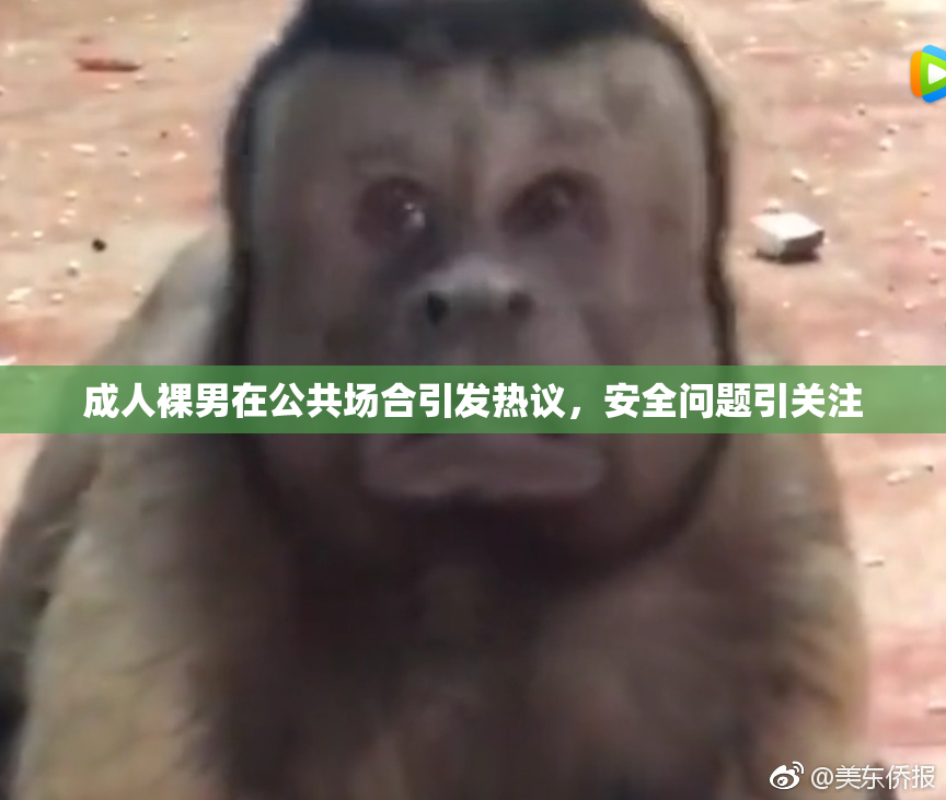 成人裸男在公共场合引发热议，安全问题引关注