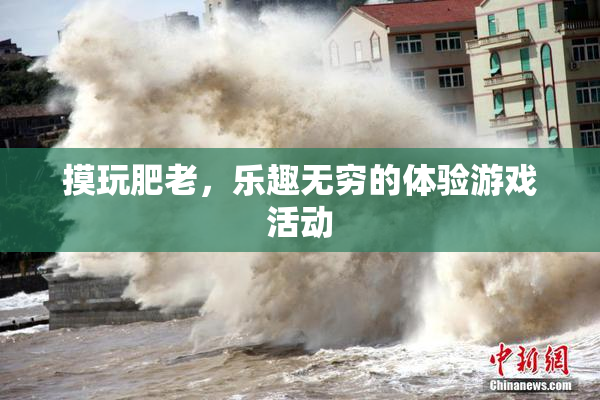 摸玩肥老，乐趣无穷的体验游戏活动