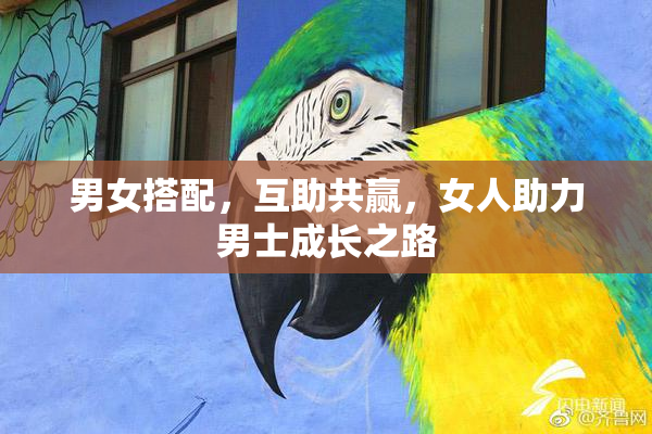男女搭配，互助共赢，女人助力男士成长之路