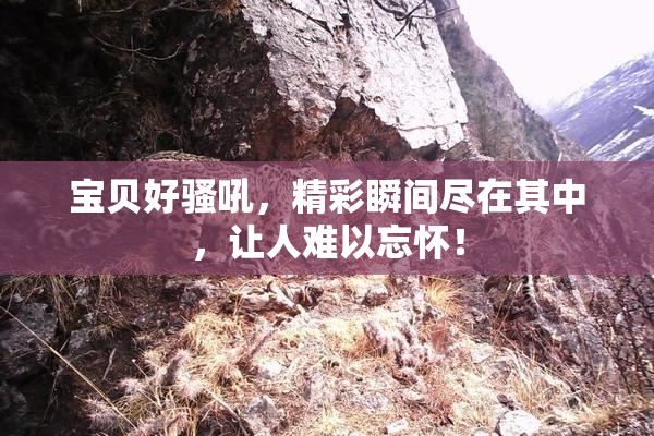 宝贝好骚吼，精彩瞬间尽在其中，让人难以忘怀！