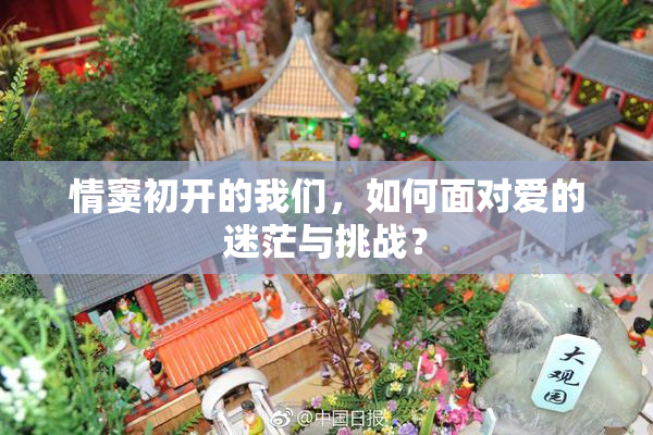 情窦初开的我们，如何面对爱的迷茫与挑战？
